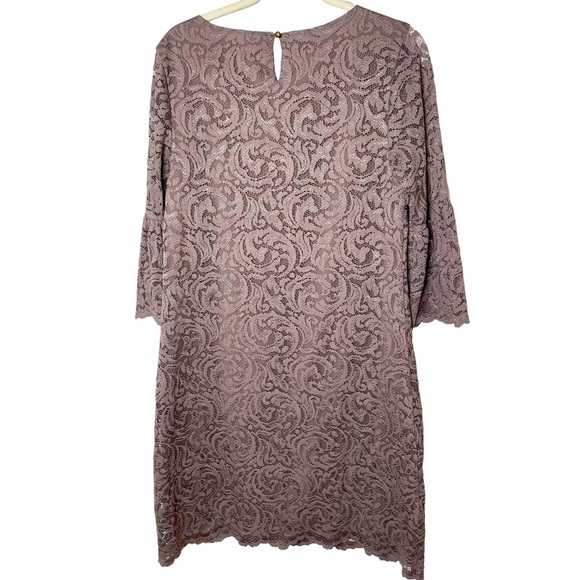 Garnet Hill Taupe Lace‎ Bell Sleeve Dress 8 - Picture 2 of 5